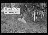 [Untitled photo, possibly related to: Land for sale, Aitkin County, Minnesota]. Sourced from the Library of Congress.