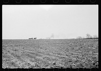 [Untitled photo, possibly related to: Spreading manure, Greene County, Iowa]. Sourced from the Library of Congress.