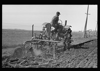 [Untitled photo, possibly related to: Cattle of Iowa corn farm, Grundy County, Iowa]. Sourced from the Library of Congress.