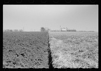 Plowed sod, Grundy County, Iowa. Sourced from the Library of Congress.
