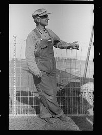 [Untitled photo, possibly related to: County agent and farmer looking at electric meter on farm, Grundy County, Iowa]. Sourced from the Library of Congress.