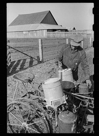 [Untitled photo, possibly related to: Checking the corn in hills, Jasper County, Iowa]. Sourced from the Library of Congress.