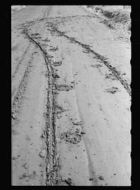 Horse and wagon tracks on muddy road, Harrison County, Iowa. Sourced from the Library of Congress.