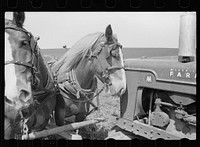 [Untitled photo, possibly related to: Horse and tractor, Jasper county, Iowa]. Sourced from the Library of Congress.