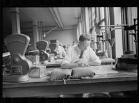 Licensed grain inspector testing wheat for impurities, Minneapolis, Minnesota. Sourced from the Library of Congress.
