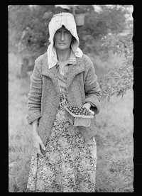Migrant fruit worker from Arkansas, Berrien County, Michigan. Sourced from the Library of Congress.