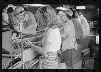 [Untitled photo, possibly related to: Migrant girls working in cherry canning plant, Berrien County, Mich.]. Sourced from the Library of Congress.
