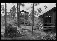 Cow barn and outhouses on sharecropper's farm, Lauderdale County, Mississippi. Sourced from the Library of Congress.