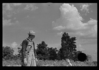 [Untitled photo, possibly related to: Cotton picker, Lauderdale County, Mississippi]. Sourced from the Library of Congress.