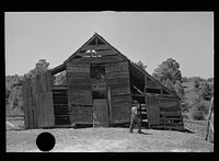 [Untitled photo, possibly related to: Tenant farmer with mule which has been given to him by the Resettlement Administration, Lee County, Mississippi]. Sourced from the Library of Congress.