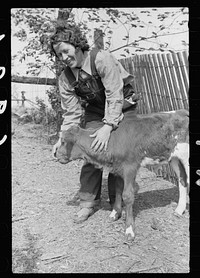 [Untitled photo, possibly related to: FSA (Farm Security Administration) rehabilitation borrower with calf, Grant County, Illinois]. Sourced from the Library of Congress.