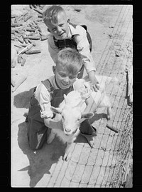 [Untitled photo, possibly related to: Children of FSA (Farm Security Administration) tenant purchase borrower with pet goat, Crawford County, Illinois]. Sourced from the Library of Congress.