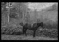 [Untitled photo, possibly related to: Man from Nicholson Hollow with one of the few horses, Shenandoah National Park, Virginia]. Sourced from the Library of Congress.