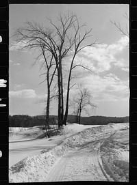 [Untitled photo, possibly related to: Truck loaded with blocks of river ice, Coos County, New Hampshire]. Sourced from the Library of Congress.