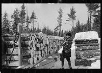 Loading pulpwood on sled for transportation to paper mill, Coos County, New Hampshire. Sourced from the Library of Congress.