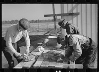 [Untitled photo, possibly related to: Butchering hogs on Penderlea Farms, North Carolina]. Sourced from the Library of Congress.