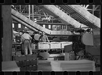 Scene in the packing plant at Fort Pierce, Florida. Sourced from the Library of Congress.