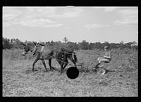 [Untitled photo, possibly related to: Young resettlement farmer with harrow, Grady County, Georgia]. Sourced from the Library of Congress.