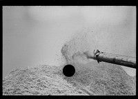 [Untitled photo, possibly related to: Wheat straw coming out of threshing machine, Frederick, Maryland]. Sourced from the Library of Congress.
