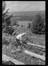 Sawing pulpwood on Kinneys' farm, Eden Mills, Vermont. Sourced from the Library of Congress.
