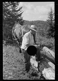 [Untitled photo, possibly related to: Sawing pulpwood on Kinneys' farm, Eden Mills, Vermont]. Sourced from the Library of Congress.