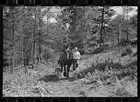 [Untitled photo, possibly related to: Sawing pulpwood on Kinneys' farm, Eden Mills, Vermont]. Sourced from the Library of Congress.