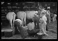 4-H Club boys taking care of their cows, State Fair, Rutland, Vermont. Sourced from the Library of Congress.