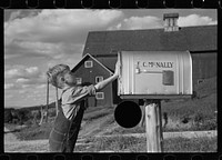 [Untitled photo, possibly related to: Looking for the mail, McNally farm, Kirby, Vermont]