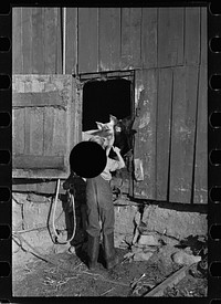 [Untitled photo, possibly related to: Looking for the mail, McNally farm, Kirby, Vermont]. Sourced from the Library of Congress.