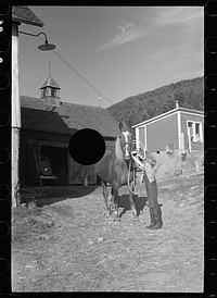 [Untitled photo, possibly related to: Bob McNally with one of the horses, Kirby, Vermont]. Sourced from the Library of Congress.