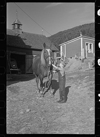 Bob McNally with one of the horses, Kirby, Vermont. Sourced from the Library of Congress.