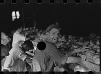 [Untitled photo, possibly related to: An employee of the grapefruit canning plant at Winter Haven, Florida]. Sourced from the Library of Congress.