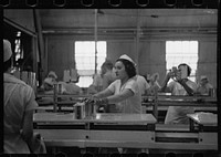 Sectioners at work canning grapefruit. About half of these girls are migrants. Winter Haven, Florida. Sourced from the Library of Congress.