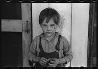 Son of a citrus worker, Winter Haven, Florida. Sourced from the Library of Congress.
