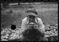[Untitled photo, possibly related to: A Florida orange picker. Many of these workers are migrants. Polk County, Florida]. Sourced from the Library of Congress.