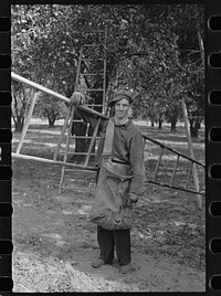 A migrant orange picker, Polk County, Florida. Sourced from the Library of Congress.