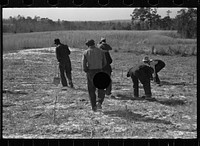 [Untitled photo, possibly related to: Planting slash pine, Tuskegee Project, Macon County, Alabama]. Sourced from the Library of Congress.