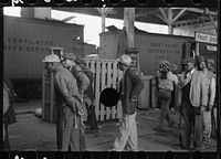 [Untitled photo, possibly related to: Loading bananas, Mobile, Alabama]. Sourced from the Library of Congress.