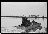 [Untitled photo, possibly related to: During the picking process many of the cranberries are torn from the vines and fall to the ground. The bogs are then flooded and agitated with the hydroplane which causes the cranberries to float, Burlington County, New Jersey]. Sourced from the Library of Congress.