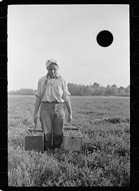 [Untitled photo, possibly related to: Girl carrying boxes of cranberries to loading station, Burlington County, New Jersey]. Sourced from the Library of Congress.