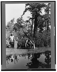 Gathering cranberries that are floating on the surface of a flooded bog, Burlington County, New Jersey. Sourced from the Library of Congress.