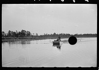 [Untitled photo, possibly related to: Cranberry picker, Burlington County, New Jersey]. Sourced from the Library of Congress.