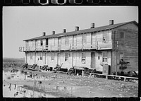 Workers in oyster industry live in shacks like this. Mosquitoes breed in everpresent pools of water, Shellpile, New Jersey. Sourced from the Library of Congress.