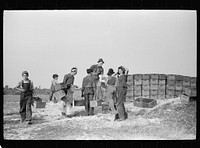 Burlington County, New Jersey. Checking station at a cranberry bog. Sourced from the Library of Congress.