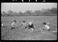 [Untitled photo, possibly related to: Child labor, cranberry bog, Burlington County, New Jersey]. Sourced from the Library of Congress.