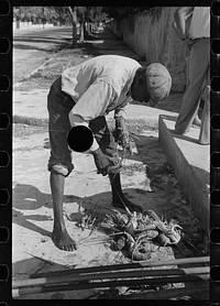 [Untitled photo, possibly related to: Fisherman with crawfish, Key West, Florida]. Sourced from the Library of Congress.