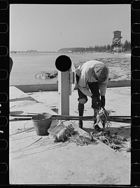 [Untitled photo, possibly related to: Fishermen, Key West, Florida]. Sourced from the Library of Congress.
