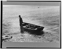 Fishermen, Key West, Florida. Sourced from the Library of Congress.