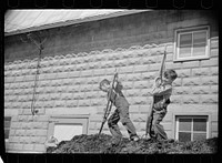 Farmer's sons unloading manure, Scioto Farms, Ohio. Sourced from the Library of Congress.