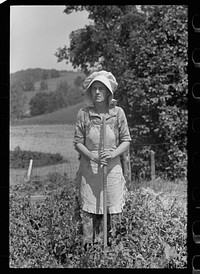 Farmer's wife with chickens, Scioto Farms, Ohio. Sourced from the Library of Congress.